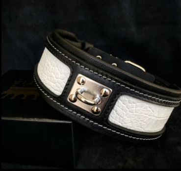 "Reptilien" Halsband